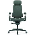 LiberNovo Omni Ergonomischer Stuhl, aktive R&uuml;ckenlehne, Massage - gr&uuml;n image number null