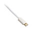 Ducky Coiled Cable White Edition image number null