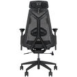 ASUS ROG Destrier Ergo Core Gamingstuhl - schwarz image number null