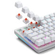 Glorious Fox Heavy Switches, Mechanical, 5-Pin, Linear, MX Stem, 55g - Lubed, 110 Pieces image number null