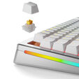 Glorious Panda HE Silent Switches, Hall Effect, Tactile, MX Stem, 45g - Lubed, 36 Pieces image number null