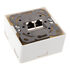 InLine Cat. 6 Aufputz Anschlußdose 2x RJ45 Buchse, waagerecht - weiß image number null