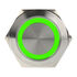 DimasTech Vandalism Switch 25mm - Silverline - green image number null