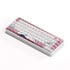 AKKO JIN 01 Tokio Gaming Keyboard - 65%, Rosewood Switches, ANSI image number null