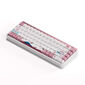 AKKO JIN 01 Tokio Gaming Keyboard - 65%, Rosewood Switches, ANSI