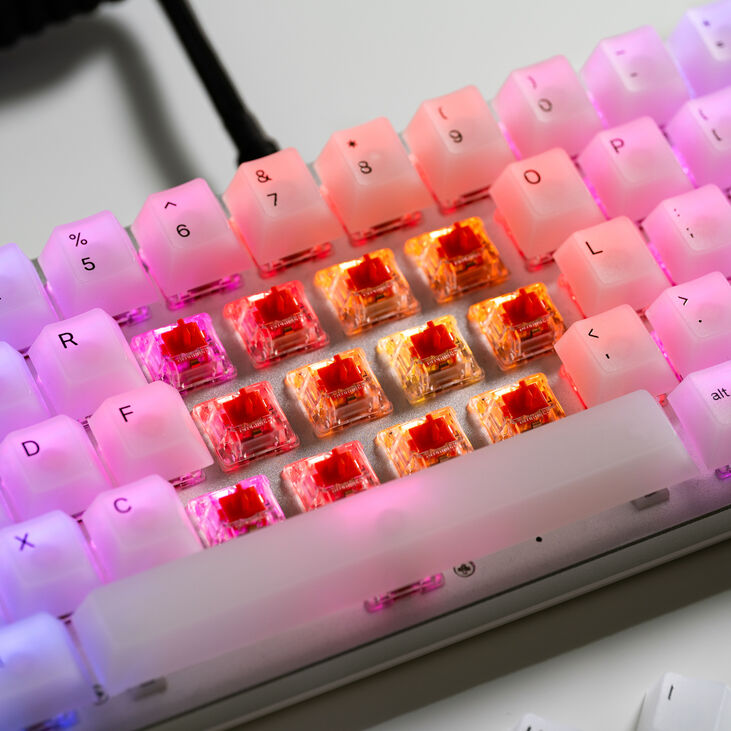 Glorious Fox Switches, Mechanical, 3-Pin, Linear, MX-Stem, 45g - 110 Pieces image number 11