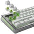Glorious Raptor HE Standard Switch, Hall Effect, Clicky, MX Stem, 55g - Lubed, 36 Pieces image number null