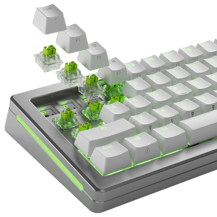 Glorious Raptor HE Standard Switch, Hall Effect, Clicky, MX Stem, 55g - Lubed, 36 Pieces image number 8