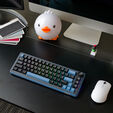 Ducky OK-M 65 Gaming-Tastatur, 65%, Hot-Swap-f&auml;hig, RGB, ISO - KTT Linear image number null
