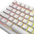 Glorious GPBT Backlit Keycaps, ANSI Layout (US), PBT, Dye-Sub - Wei&szlig; image number null