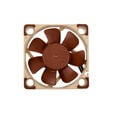 Noctua NF-A4x10 5V PWM L&uuml;fter - 40mm image number null