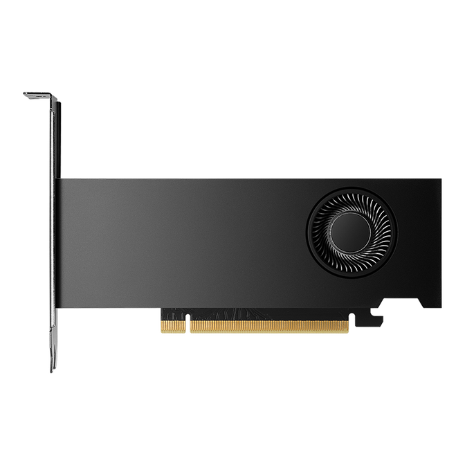 NVIDIA RTX 2000 Ada Generation Grafikkarte, 16384 MB GDDR6 - bulk image number 3