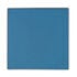 Thermal Grizzly Minus Pad Advance - 100 x 100 x 0.5 mm, 2 pieces image number null