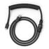 Glorious Coiled Cable Phantom Black, USB-C auf USB-A Spiralkabel - 1,37m, schwarz image number null