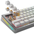 Glorious Panda Silent Switches, Mechanical, 5-Pin, Tactile, MX Stem, 50g - Lubed, 36 Pieces image number null
