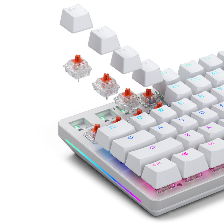 Glorious Fox Switches, Mechanical, 3-Pin, Linear, MX-Stem, 45g - 110 Pieces image number 10