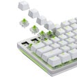 Glorious Raptor Standard Switch, mechanisch, 5-Pin, clicky, MX-Stem, 55g - lubed, 36 St&uuml;ck image number null