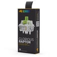 Glorious Raptor Standard Switch, mechanisch, 5-Pin, clicky, MX-Stem, 55g - lubed, 36 St&uuml;ck image number null