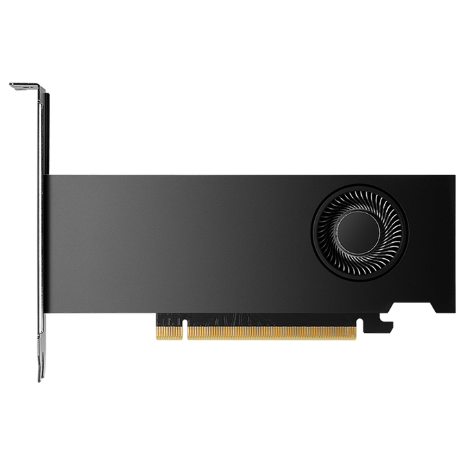 NVIDIA RTX 2000 Ada Generation graphics card, 16384 MB GDDR6 image number 3