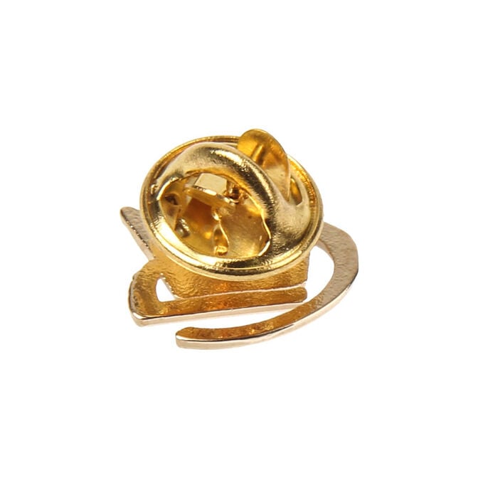 Caseking Pin - Crown - 24k image number 1