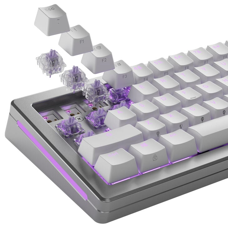 Glorious Mako Ultralight Switches, Mechanical, 5-Pin, Tactile, MX Stem, 40g - Lubed, 110 Pieces image number 8