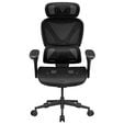ThunderX3 XTC Pro 360 ergonomischer Gaming-Stuhl - schwarz image number null
