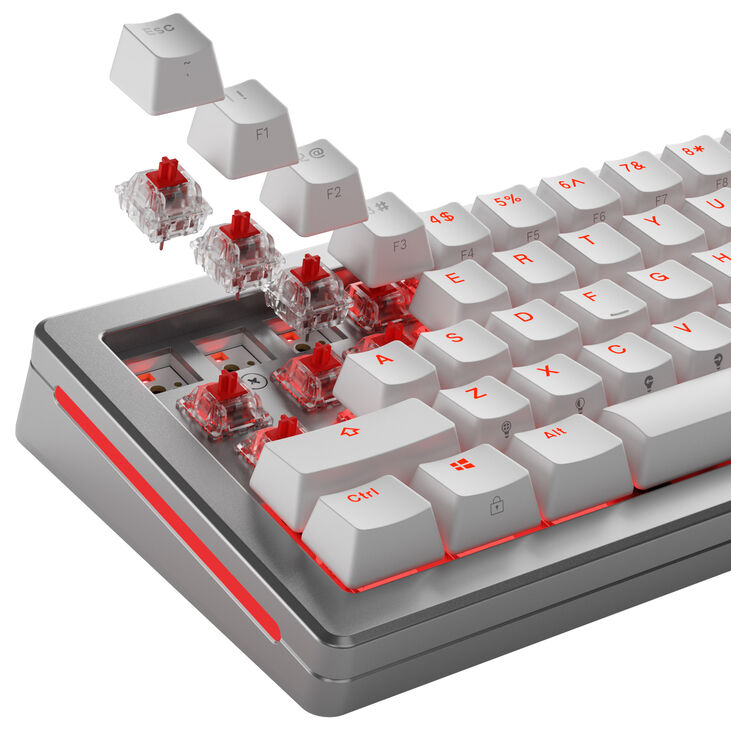 Glorious Fox Switches, Mechanical, 3-Pin, Linear, MX-Stem, 45g - 110 Pieces image number 8