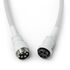 Glorious GMMK Coiled Cable Ghost White, Spiral Keyboard Cable, USB-C/USB-A - White image number null
