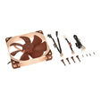 Noctua NF-A14-PWM L&uuml;fter - 140mm image number null