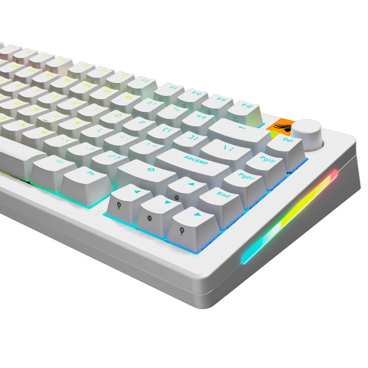 Glorious GPBT Backlit Keycaps, ANSI Layout (US), PBT, Dye-Sub - White image number 2