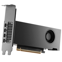 NVIDIA RTX PRO 2000 Blackwell Grafikkarte, 16GB DDR7 - Retail