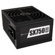SilverStone SST-SX750-PT V.1.1 SFX power supply 80 PLUS Platinum, modular - 750 Watt image number null