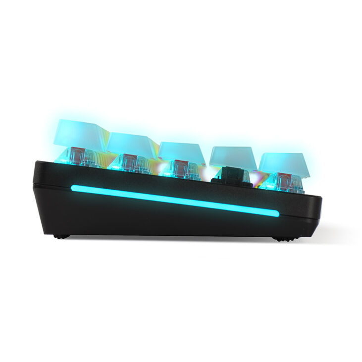 Glorious Polychroma RGB Keycaps - 115 Keycaps, ANSI, US-Layout, semi-transparent image number 5