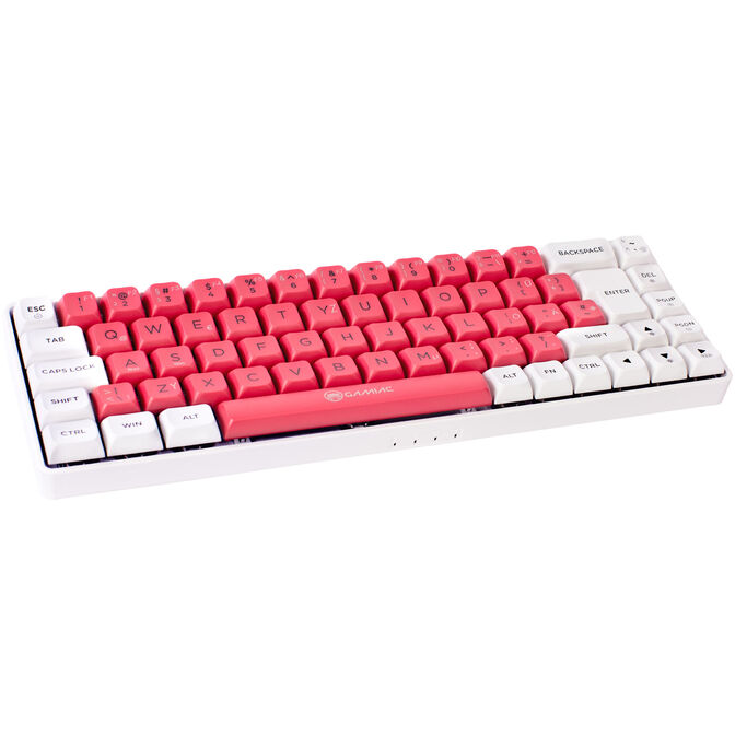 GAMIAC TKL69G SF Gaming Keyboard, Kailh Blue Switches, RGB - white/red image number 1