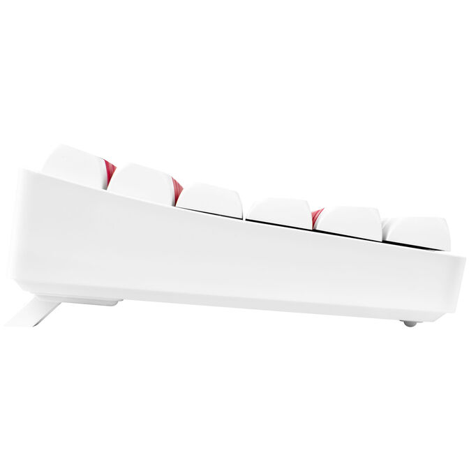 GAMIAC TKL90G Gaming Keyboard, Kailh Blue Switches, RGB - white/red image number 4