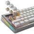 Glorious Panda Silent Switches, Mechanical, 5-Pin, Tactile, MX Stem, 50g - Lubed, 36 Pieces image number null