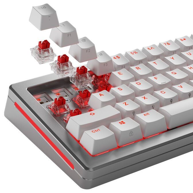 Glorious Fox HE Standard Switches, Hall Effect, Linear, MX Stem, 45g - Lubed, 36 Pieces image number 8