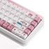 AKKO JIN 01 Tokio Gaming Keyboard - 65%, Rosewood Switches, ANSI image number null
