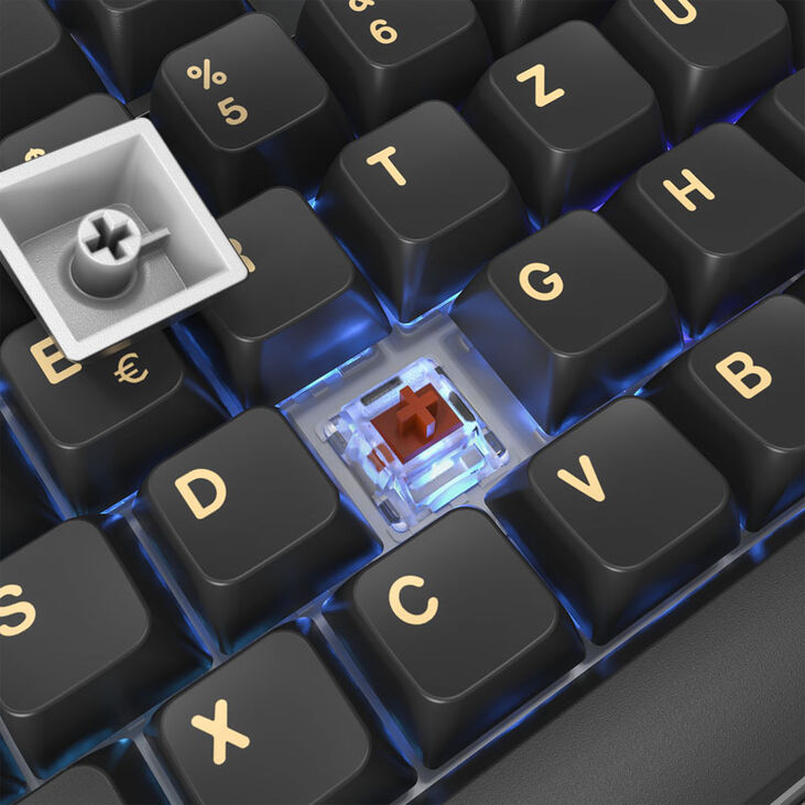 Montech MKey Darkness Gaming Keyboard - GateronG Pro 2.0 Brown image number 4