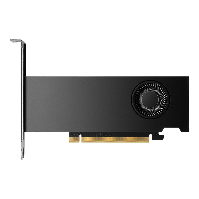 PNY RTX 2000 Ada Generation Grafikkarte, 16384 MB GDDR6 image number 3