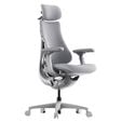 LiberNovo Omni Ergonomischer Stuhl, aktive R&uuml;ckenlehne, Massage - grau image number null