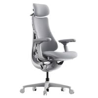 LiberNovo Omni Ergonomischer Stuhl, aktive R&uuml;ckenlehne, Massage - grau