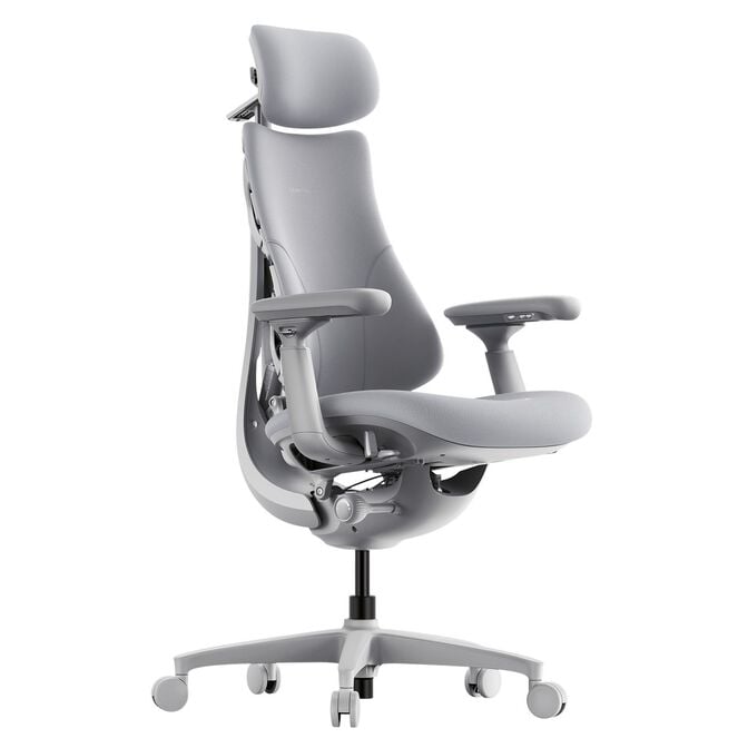 LiberNovo Omni Ergonomischer Stuhl, aktive R&uuml;ckenlehne, Massage - grau image number 0
