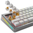Glorious Panda HE Standard Switches, Hall-Effekt, taktil, MX-Stem, 45g - lubed, 36 St&uuml;ck image number null