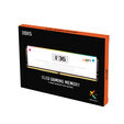 V-Color Manta XOT1 OLED RGB DDR5-6000 RAM, AMD EXPO ULL - 32 GB Dual-Kit, wei&szlig; image number null