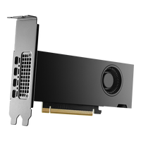 PNY RTX 2000 Ada Generation Grafikkarte, 16384 MB GDDR6