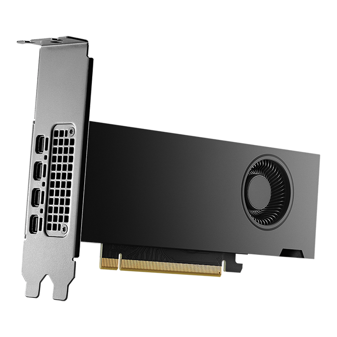 PNY RTX 2000 Ada Generation Grafikkarte, 16384 MB GDDR6 image number 0