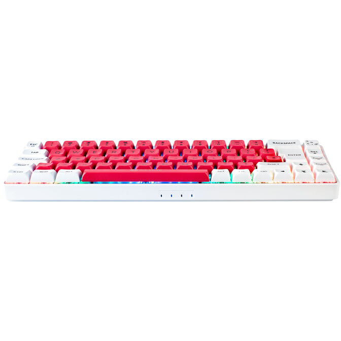 GAMIAC TKL69G SF Gaming Keyboard, Kailh Blue Switches, RGB - white/red image number 3