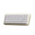 Akko YU01 White Jade Gaming Keyboard, RGB - 65%, V3 Piano Pro Switches, ANSI (US) image number null