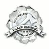 PCAxe - Raijintek Themis Evo